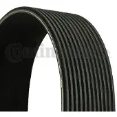 CONTITECH Courroie trapézoïdale à nervures CONTINENTAL 12PK1830