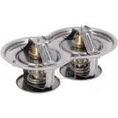 FEBI BILSTEIN Thermostat (liquide de refroidissement) 179351