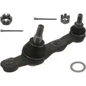 SWAG Biellette de suspension avant gauche inférieure pour LEXUS IS II (GSE2, ALE2, USE2), référence 81 94 3025
