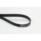 CONTITECH Courroie trapézoïdale à nervures CONTINENTAL 7PK1970