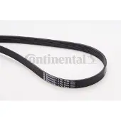 CONTITECH Courroie trapézoïdale à nervures CONTINENTAL 6PK2404