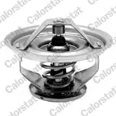 CALORSTAT by Vernet Thermostat d'eau TH7137.83J