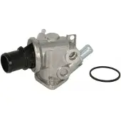 THERMOTEC Thermostat d'eau D2D004TT