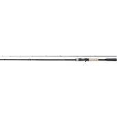 Shimano Expride Casting 2,18 m 14-42 g 2 brins Canne à lancer lourd