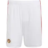 Adidas Pantalon de sport 'Ungarn 2026' vert / rouge / blanc