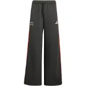 Adidas Pantalon de sport 'Audi Formula One Team DNA' gris foncé / homard / blanc