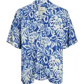Jack & Jones Chemise 'Blurexton' bleu / bleu clair / blanc