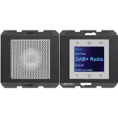Berker 29807006 (DAB), Radio, Noir, Gris