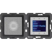 Berker 29806086 (DAB+ DAB, FM, Bluetooth), Radio, Noir