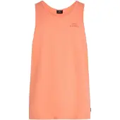 O'Neill T-Shirt 'Slub' orange clair