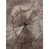 Tapis.fr Tapis Rodessa beige 80x150 cm