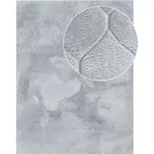 Tapis.nl Tapis en fourrure Lelystar gris 80x150 cm
