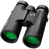 Shilba Raptor 10x42 Binoculars Noir
