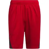 Adidas Pantalon de sport 'Legends' rouge / noir