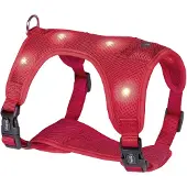 Nobby Vaisselle FLASH MESH (S, Chien, Promenade)