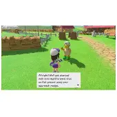 Mario Gold Super Rush Fr Switch