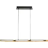 Rabalux Lampe suspendue LED 30W noir mat 72045 Remiel