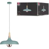 Paulmann Neordic Lampe suspendue Juna