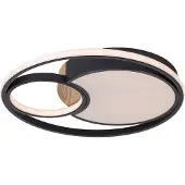 Rabalux Noir Plafonnier LED Leola 480mm 81W CCT avec DO 71044