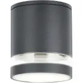 Rabalux Spot de plafond extérieur 1xGU10 Zombor anthracite 7817