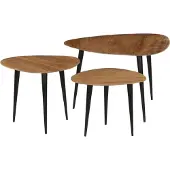 vidaXL Ensemble de 3 tables basses en bois massif d'acacia
