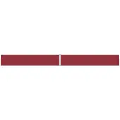 Syfax Auvent latéral rétractable Rouge 117x1200 cm