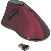 DeLOCK Souris optique ergonomique verticale à 5 boutons, sans fil 2,4 GHz - Silencieuse