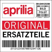 APRILIA Porte-bagages 1B007047000G07 pour Piaggio Beverly 300i ABS Euro5, modèle 2022