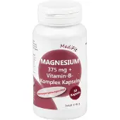 Apofit arzneimittelvertrieb gmbh Magnésium 375 mg + Vitamine B-Complexe Gélules, 60 Pcs