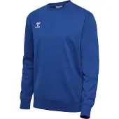 Hummel Sweat de sport 'GO 2.0' vert gazon / blanc