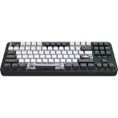Dark Project PROJECT DARK Aluminum Bushido Clavier mécanique de jeu 80% TKL (US English) [ANSI]
