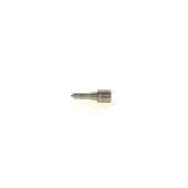 Bosch Gicleur d'injection 0 433 172 012