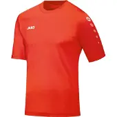 Jako Trikot Team KA