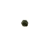 Bosch Capteur, pression de carburant 0 281 006 166