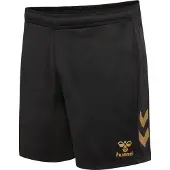 Hummel Pantalon de sport or / noir