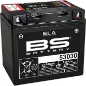 Bs Battery SLA Batterie sans entretien activée en usine - 53030