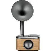 Sangean CP-100DBG