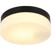 Globo VRANOS 32111B outdoor plafond