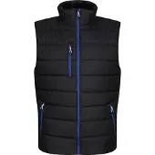 Regatta - Gilet pour homme RG9318 (L) (Noir/Bleu roi)
