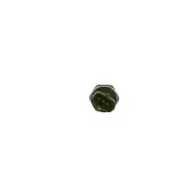 Bosch Capteur, pression de carburant 0 281 006 018
