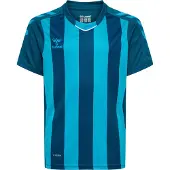 Hummel T-Shirt fonctionnel bleu cyan / bleu foncé
