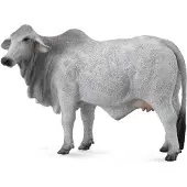 Collecta Vache Brahman L - figure animale