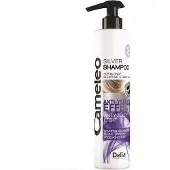 Cameleo Shampooing Silver pour cheveux blonds contre le jaunissement, 250ml