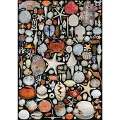 Piatnik Puzzle De la plage 1000 pièces