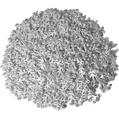 LEGO 4x3 Feuilles Branches Feuilles Vertus Plantes Blanc - 2423 NOUVEAU ! Quantité 50x