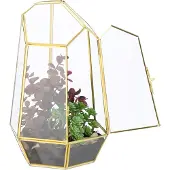 Relaxdays Terrarium géométrique pour plantes en verre