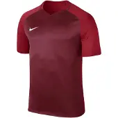Nike JEUNES ENFANTS Maillot Kids' Dry Team Trophy III Football Jersey, Couleur :TEAM RED/GYM RED/GYM RED/WHITE, Taille Garçons Textile:M (137-147)