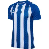 Hummel T-Shirt fonctionnel 'Match' anthracite / rouge / noir / blanc