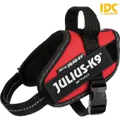 Julius-K9 Julius k9 Power-Kabelbaum / faisceau de câbles pour tags rouge