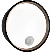 Paulmann LED Applique murale d'extérieur Platomo Détecteur de mouvement àcrépusculaire (IR) résistant à l'eau de mer